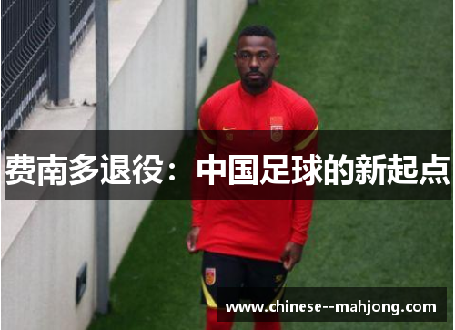 费南多退役:中国足球的新起点 费南多退役:中国足球的新起点