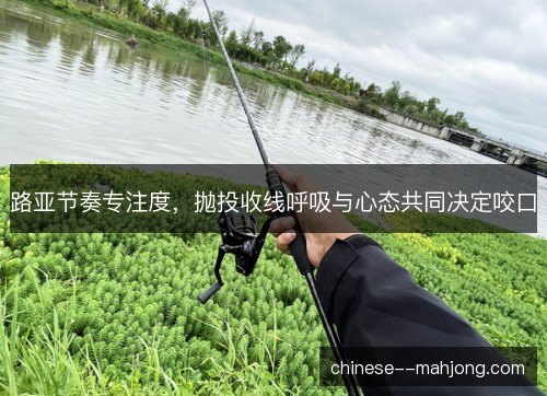 路亚节奏专注度，抛投收线呼吸与心态共同决定咬口